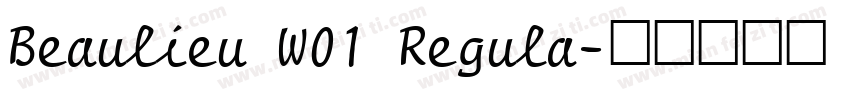 Beaulieu W01 Regula字体转换